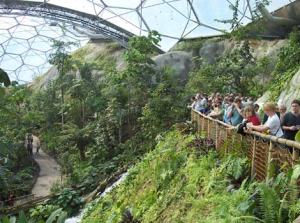 Eden_Project_Cornwall~82~68